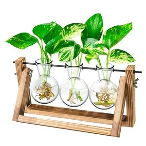 Ivolador Desktop Glass Planter Bulb Vase